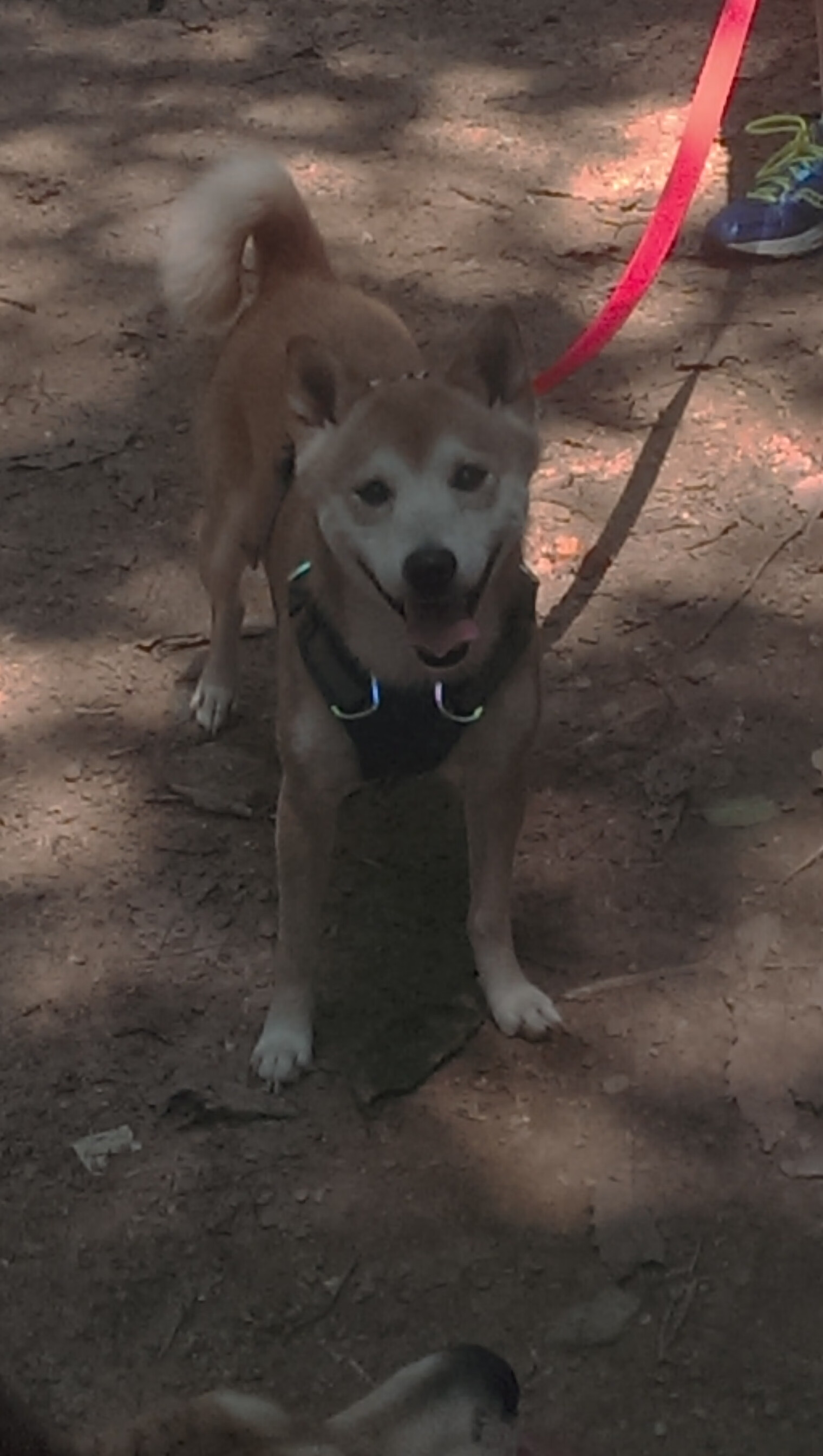 抢七之王，班凯罗点燃历史之夜