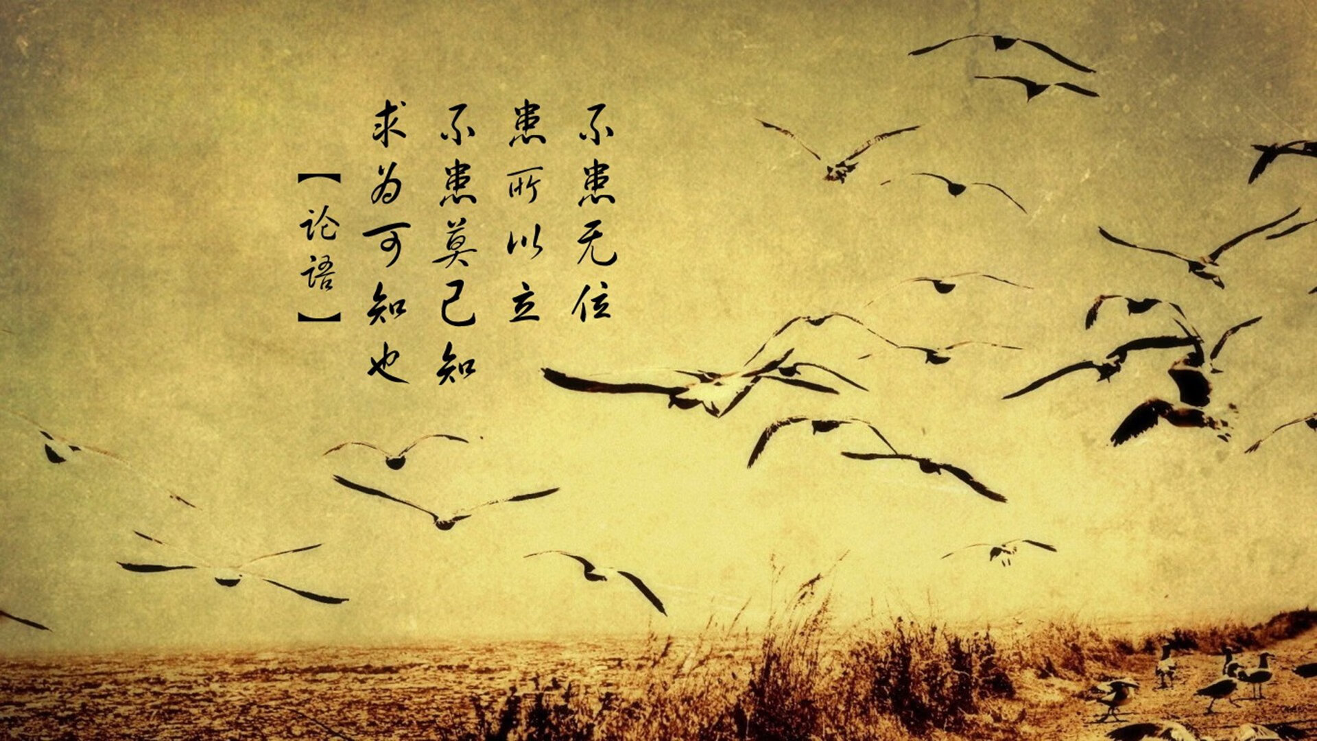 大帝征途与蓝橙风暴，当恩比德遇上游走于世界的尼克斯