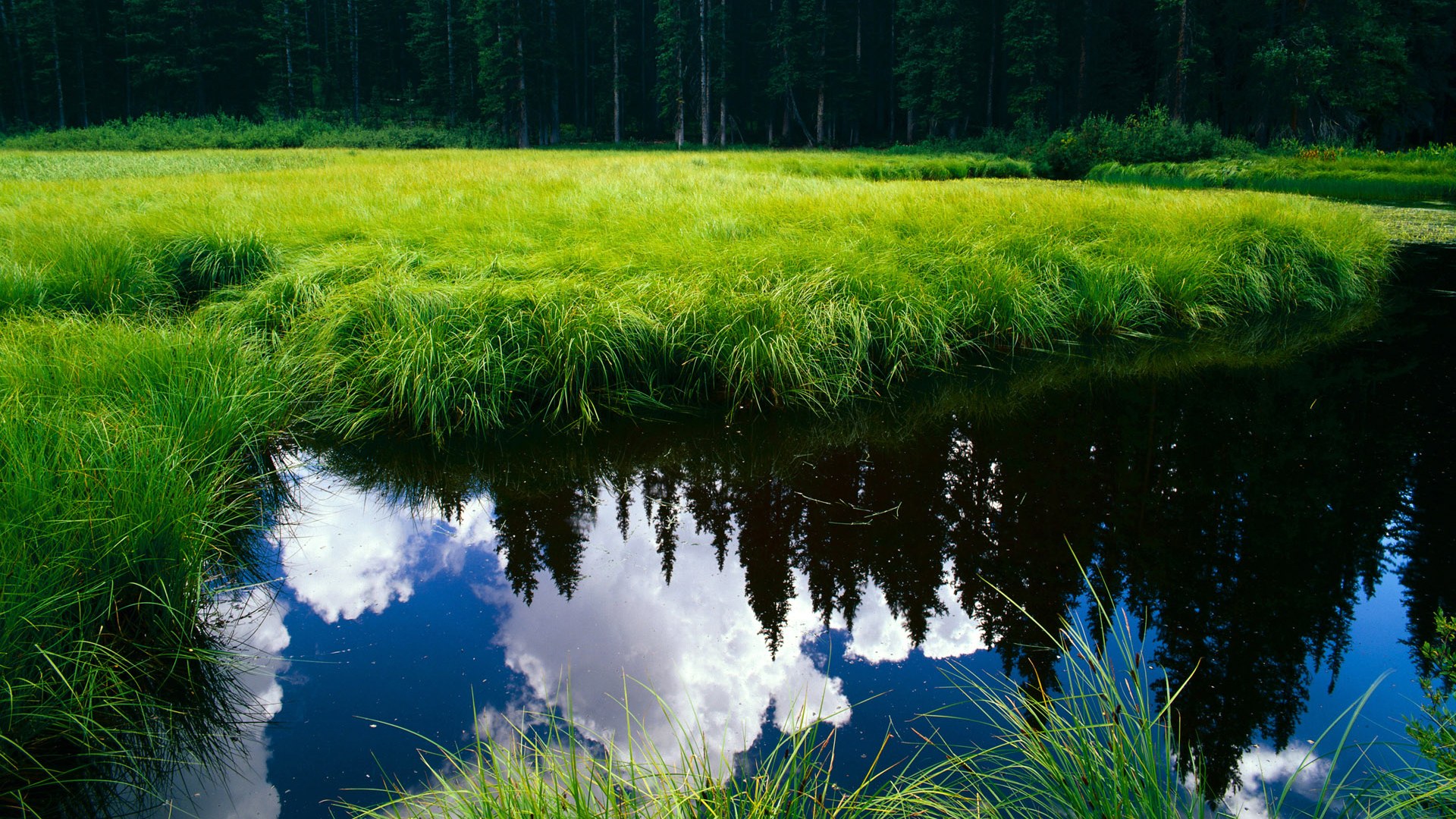 窒息式攻防，猛龙如何以连续得分狂潮扼住奇才咽喉