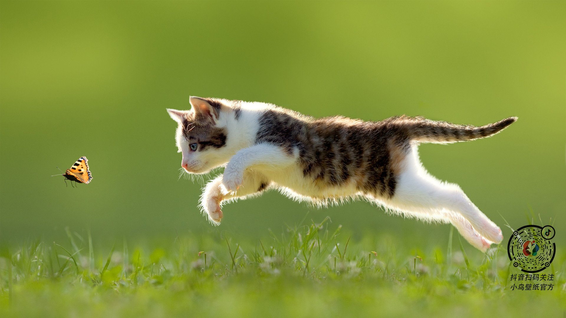 绝境威尔士引爆末节风暴，无解坎特诠释何为统治