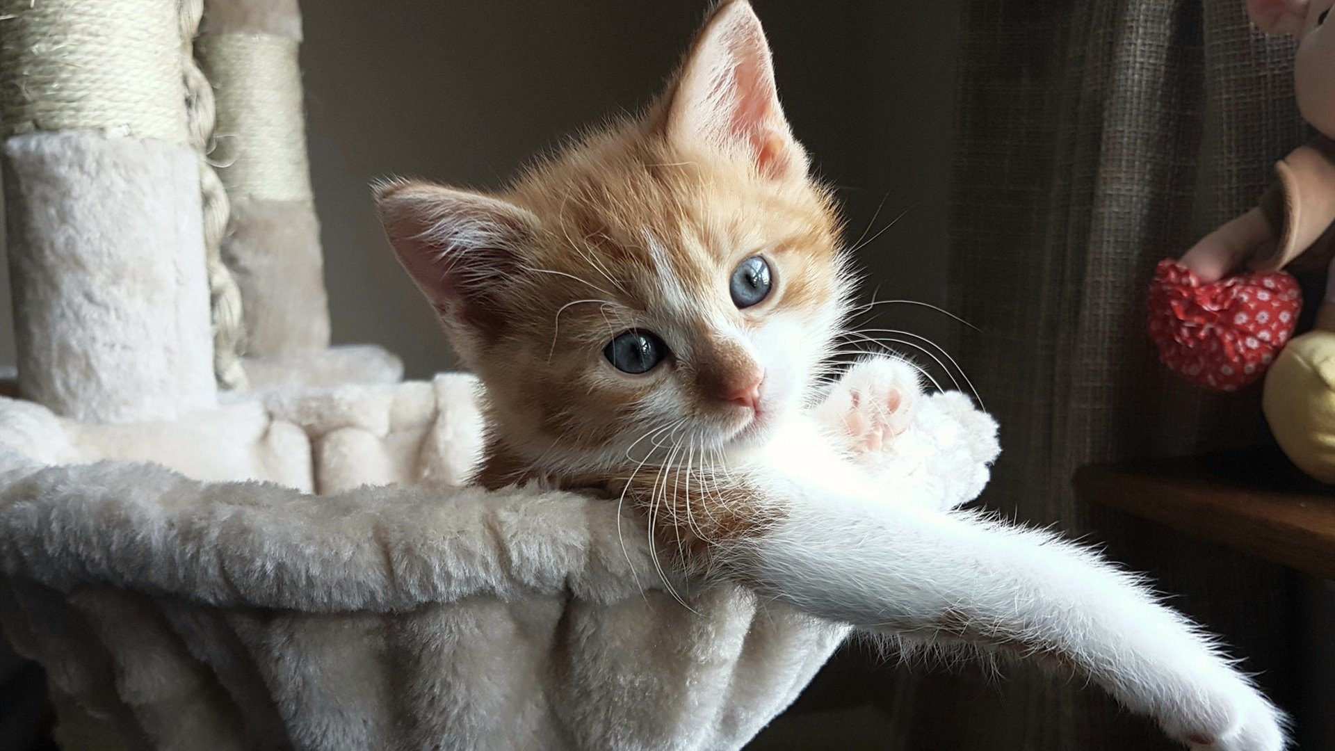 球场上的美联储,当姆巴佩成为收割比利时的金融暗码