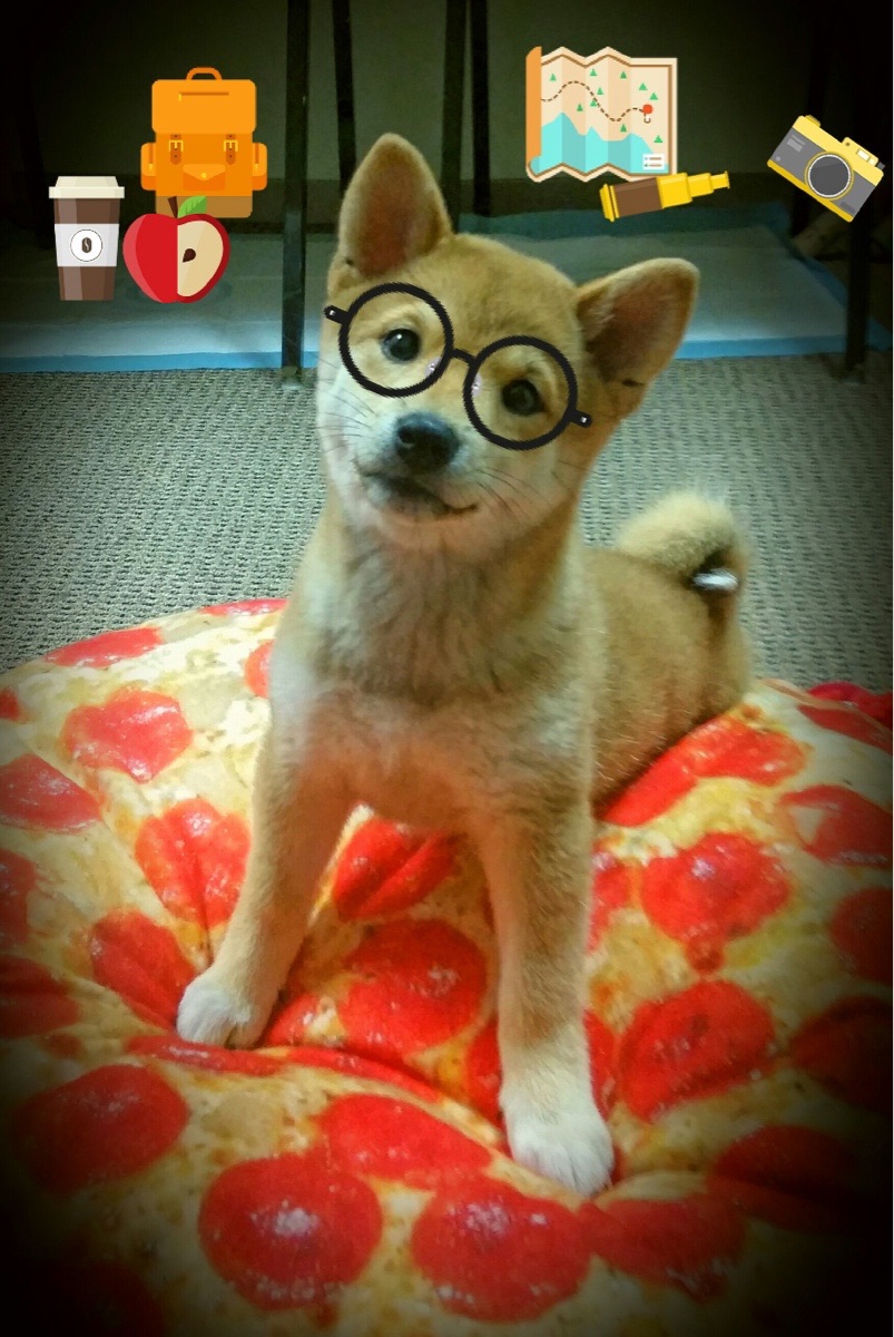 硬仗中的双雄,马刺力克奇才显团队韧性,福克斯东决关键战独揽乾坤