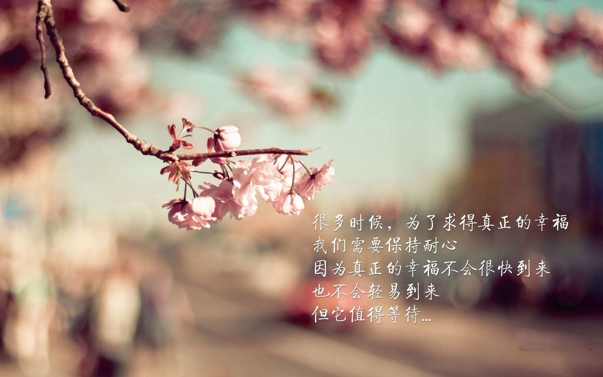 风暴之眼，美加墨世界杯之夜，劳塔罗奏响火力交响曲