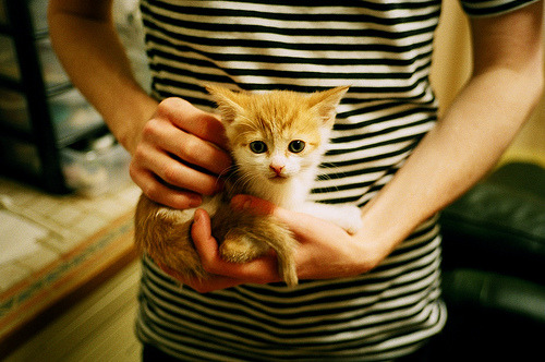 土耳其奇迹，完胜曼联，巴尔韦德关键先生闪耀欧洲