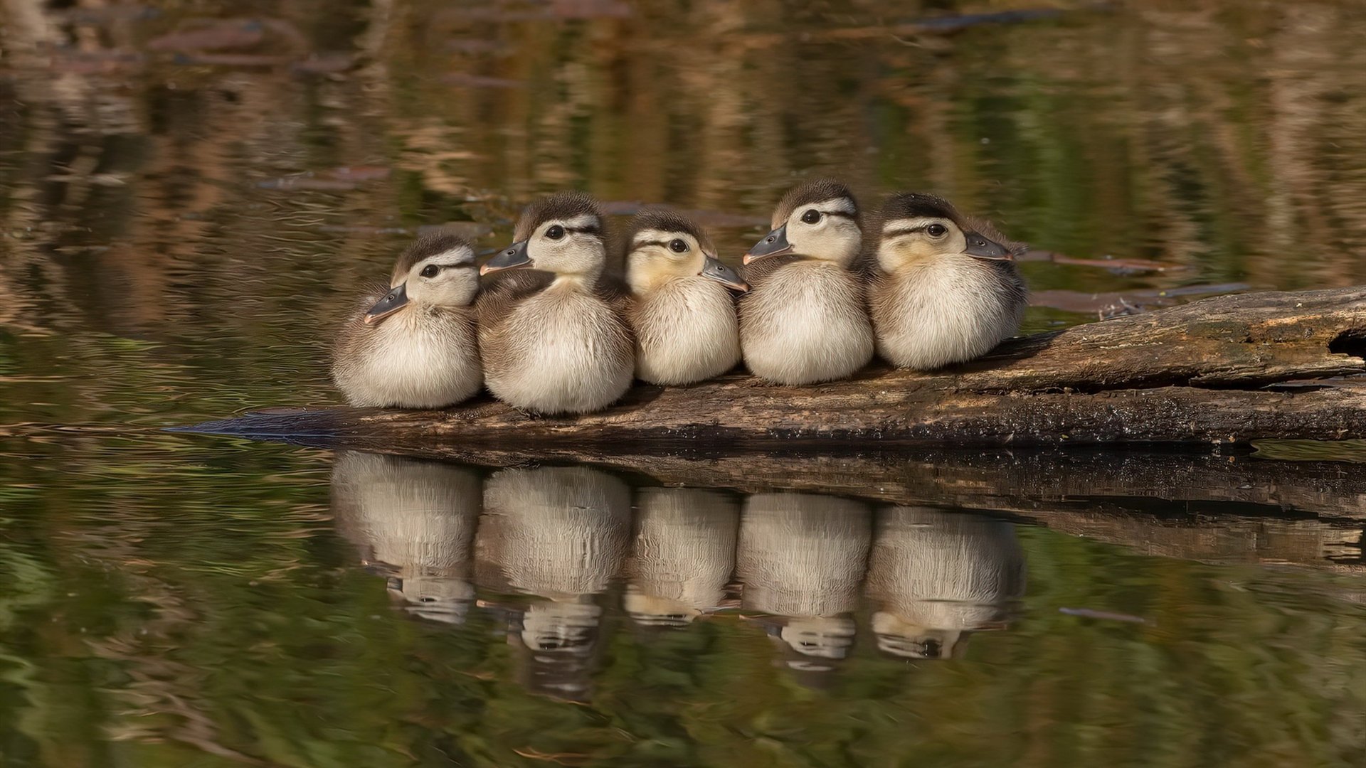 巴萨新纪元，马里远走诺坎普，基耶萨加冕关键先生