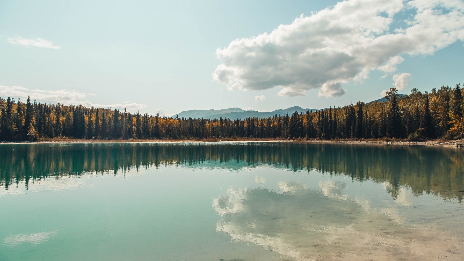 哈兰德爆发引领进攻风暴，哥伦比亚压哨绝杀曼联震撼足坛
