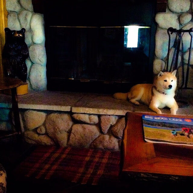 欧冠淘汰赛之夜，小贾伦的千分里程碑